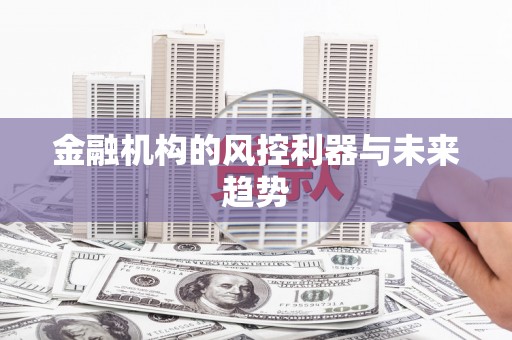 玉林金融机构的风控利器与未来趋势