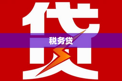 玉林税务贷