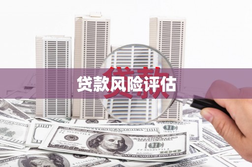 玉林贷款风险评估