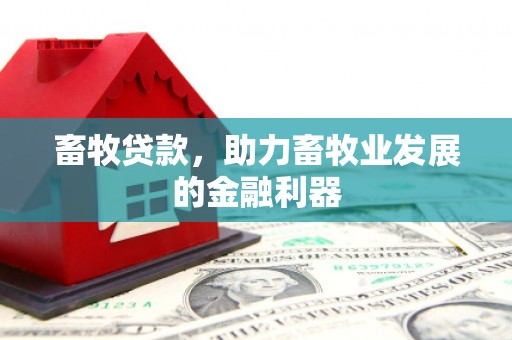 玉林畜牧贷款，助力畜牧业发展的金融利器