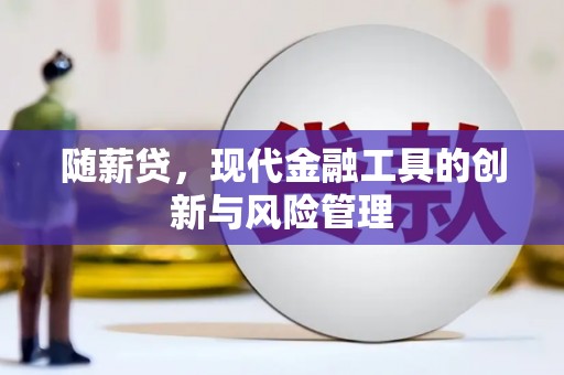 玉林随薪贷，现代金融工具的创新与风险管理