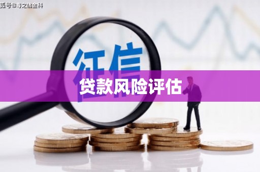 玉林贷款风险评估