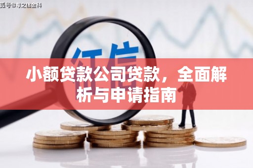 玉林小额贷款公司贷款，全面解析与申请指南