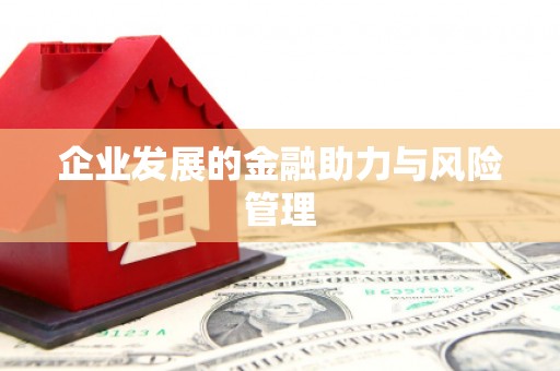 玉林企业发展的金融助力与风险管理