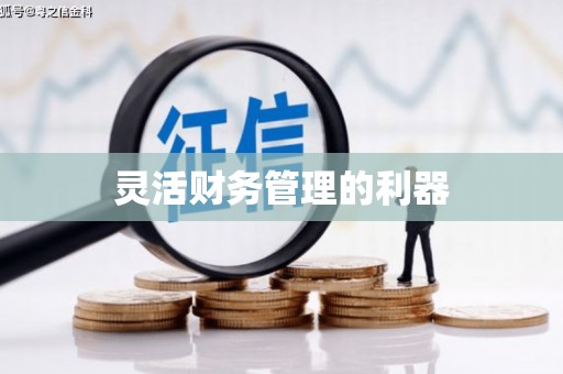 玉林灵活财务管理的利器