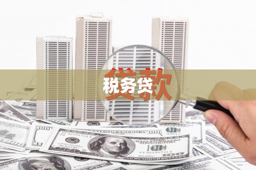 玉林税务贷