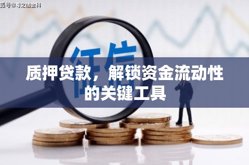 玉林质押贷款，解锁资金流动性的关键工具