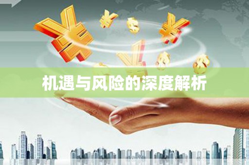 玉林机遇与风险的深度解析