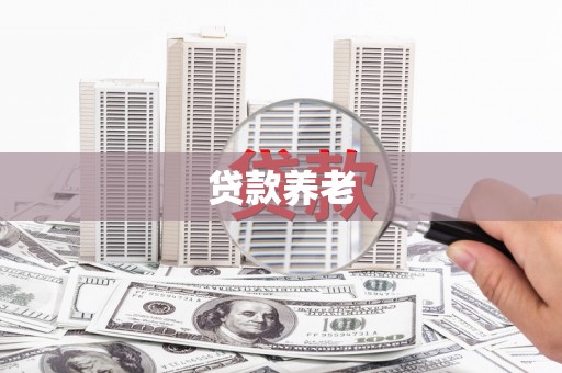 玉林贷款养老