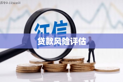 玉林贷款风险评估