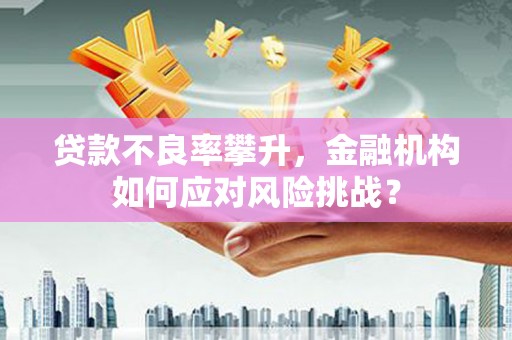 玉林贷款不良率攀升，金融机构如何应对风险挑战？