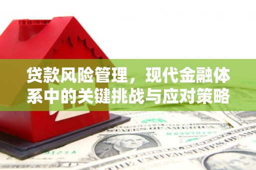 玉林贷款风险管理，现代金融体系中的关键挑战与应对策略