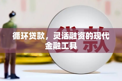 玉林循环贷款，灵活融资的现代金融工具